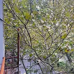 Premium Apartament With Balcony