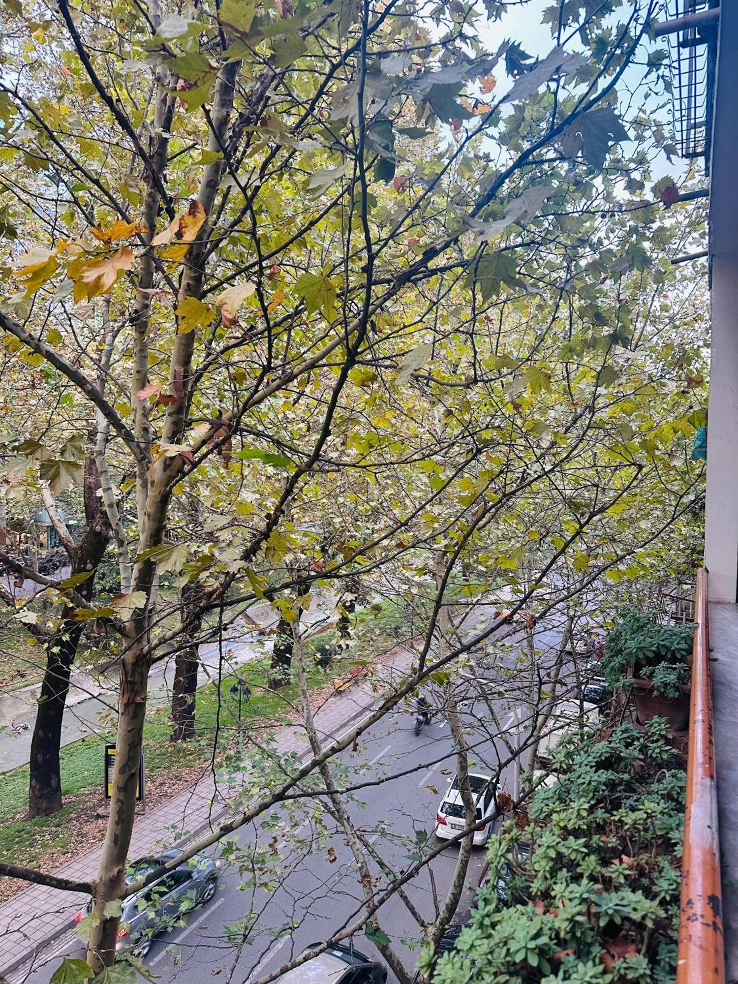 Premium With Balcony Apartamento *